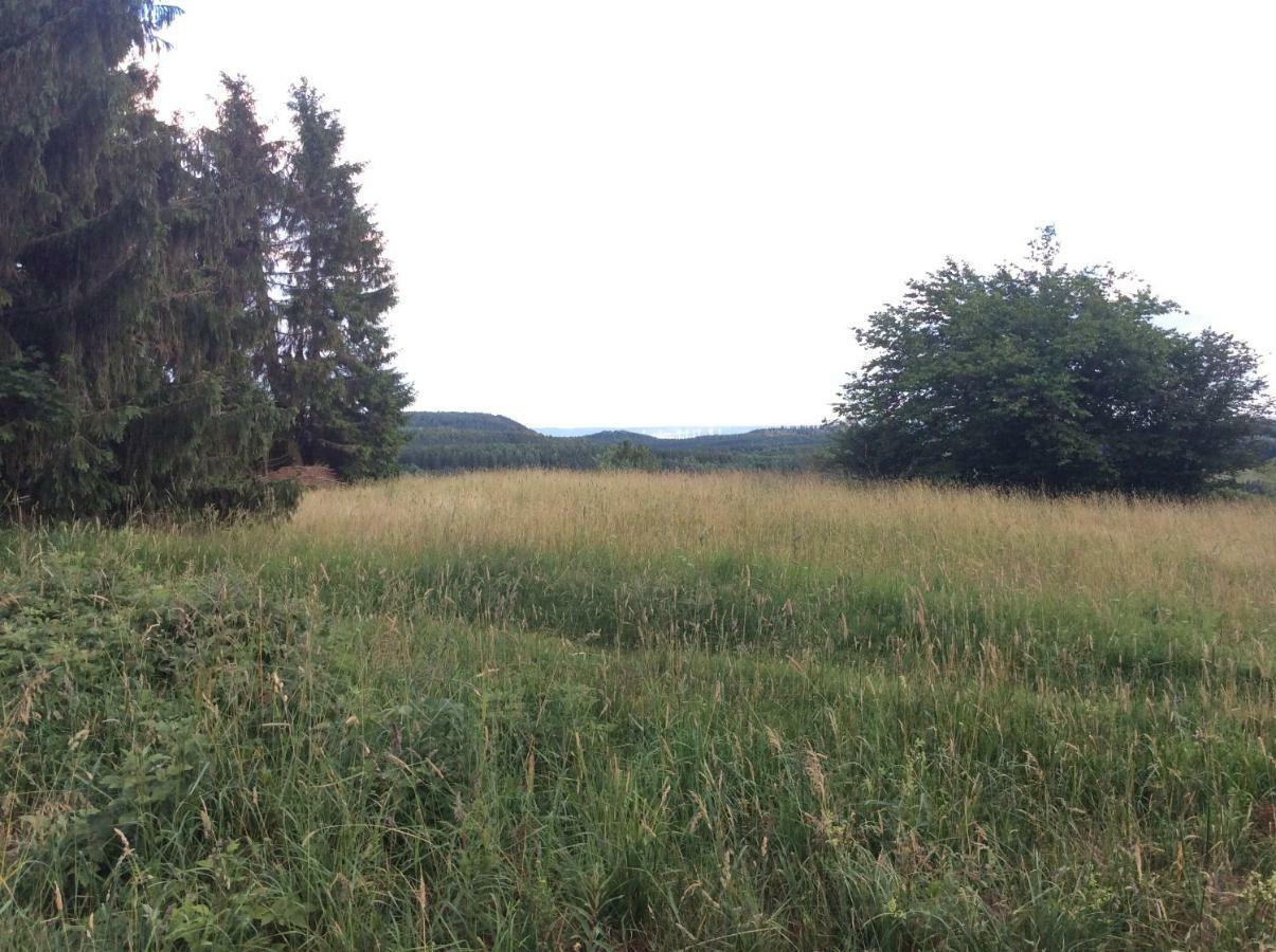 Ferienwohnung Harzblick 2 Braunlage Kültér fotó