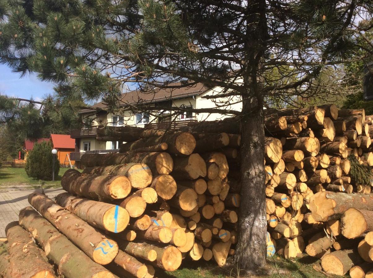 Ferienwohnung Harzblick 2 Braunlage Kültér fotó