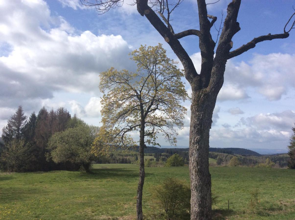 Ferienwohnung Harzblick 2 Braunlage Kültér fotó